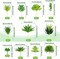 22PCS Mini Artificial Succulents – Realistic Faux Green Plants (Unpotted) for DIY Crafts, Wreath Making, Home, Office, Garden & Decoration Arrangements